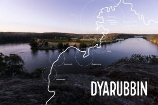 Dyarubbin_ID